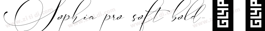 Sophia pro soft bold字体转换